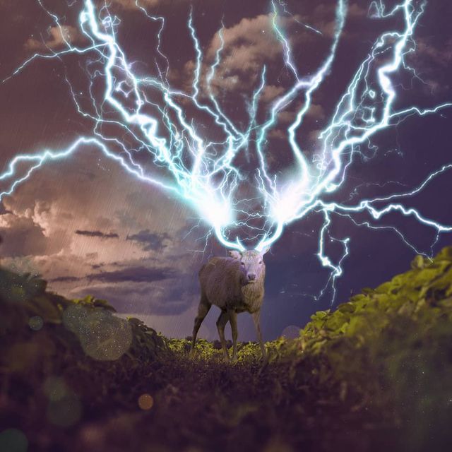 Фантастичні фото британця змусять вас затримати погляд на них - фото 305823