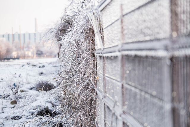 Моторошна краса: як виглядає крижана зима у Румунії - фото 305903