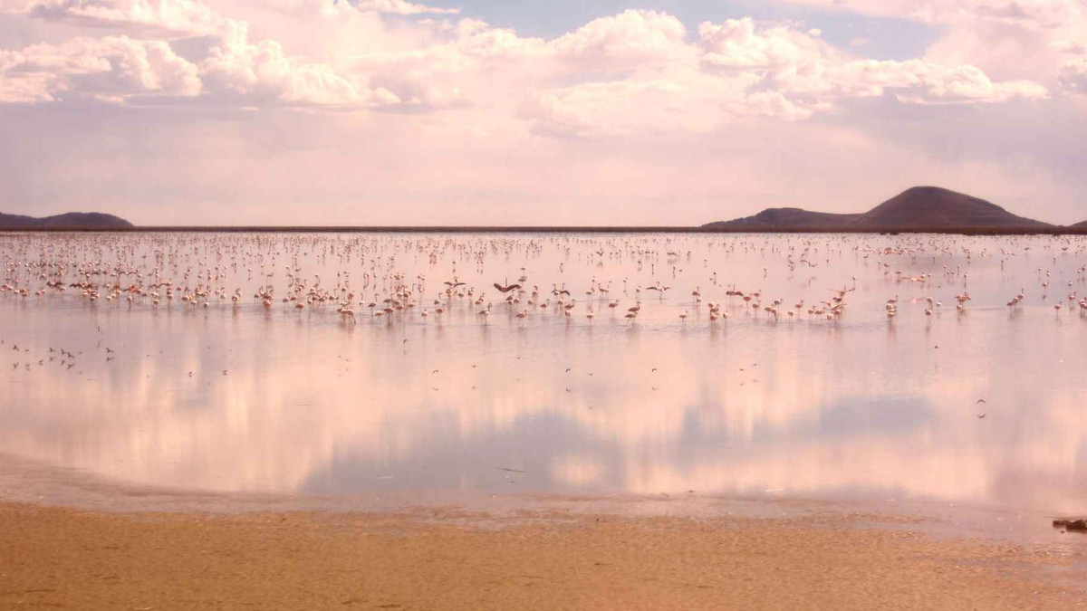 Озеро Поопо, Болівія - фото 1