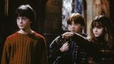 Гаррі Поттер через 18 років: чим займаються зараз улюблені герої