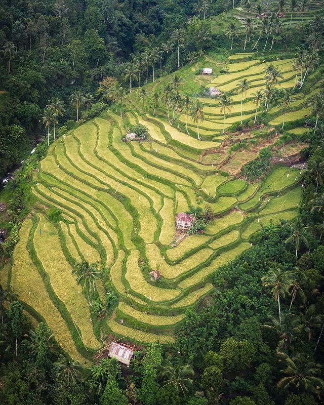 Подорожі Майкла Метті з висоти пташиного польоту: яскраві фото - фото 306436