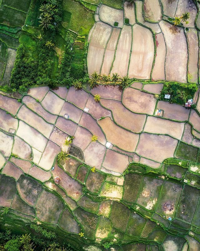 Подорожі Майкла Метті з висоти пташиного польоту: яскраві фото - фото 306440