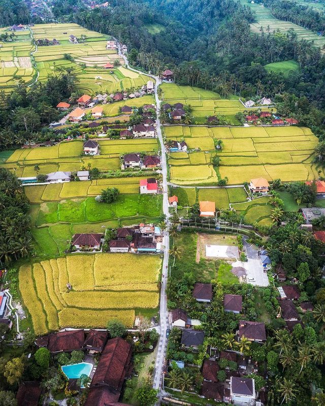 Подорожі Майкла Метті з висоти пташиного польоту: яскраві фото - фото 306442