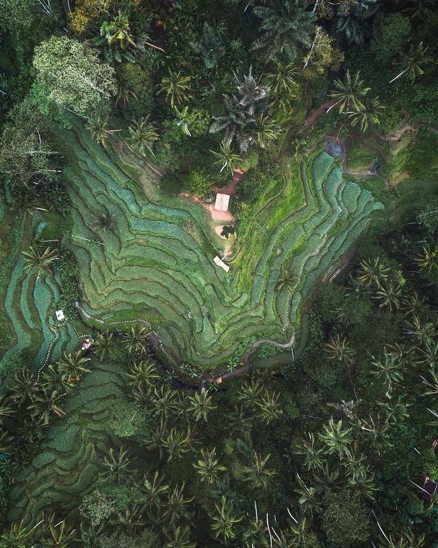 Подорожі Майкла Метті з висоти пташиного польоту: яскраві фото - фото 306446