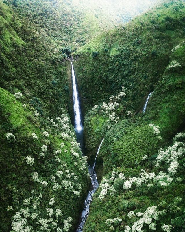 Подорожі Майкла Метті з висоти пташиного польоту: яскраві фото - фото 306451