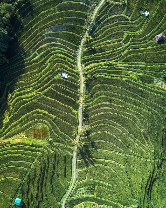 Подорожі Майкла Метті з висоти пташиного польоту: яскраві фото - фото 306455