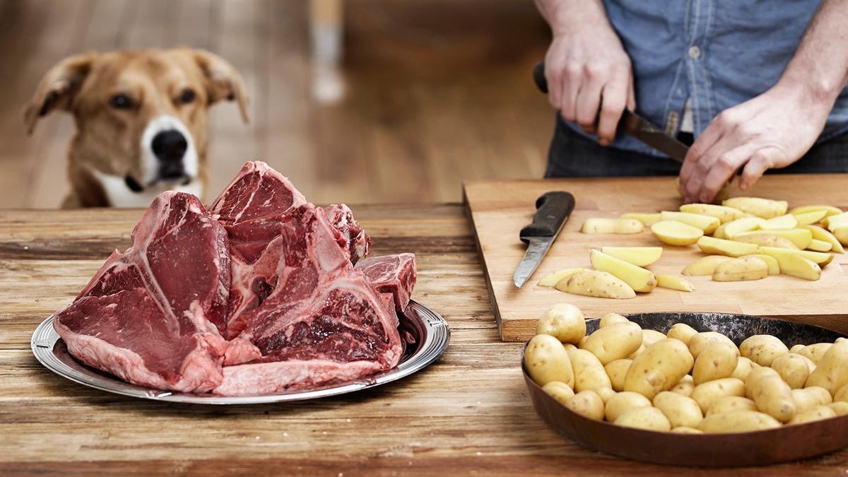 Як жирна їжа перетворила мавпу на людину