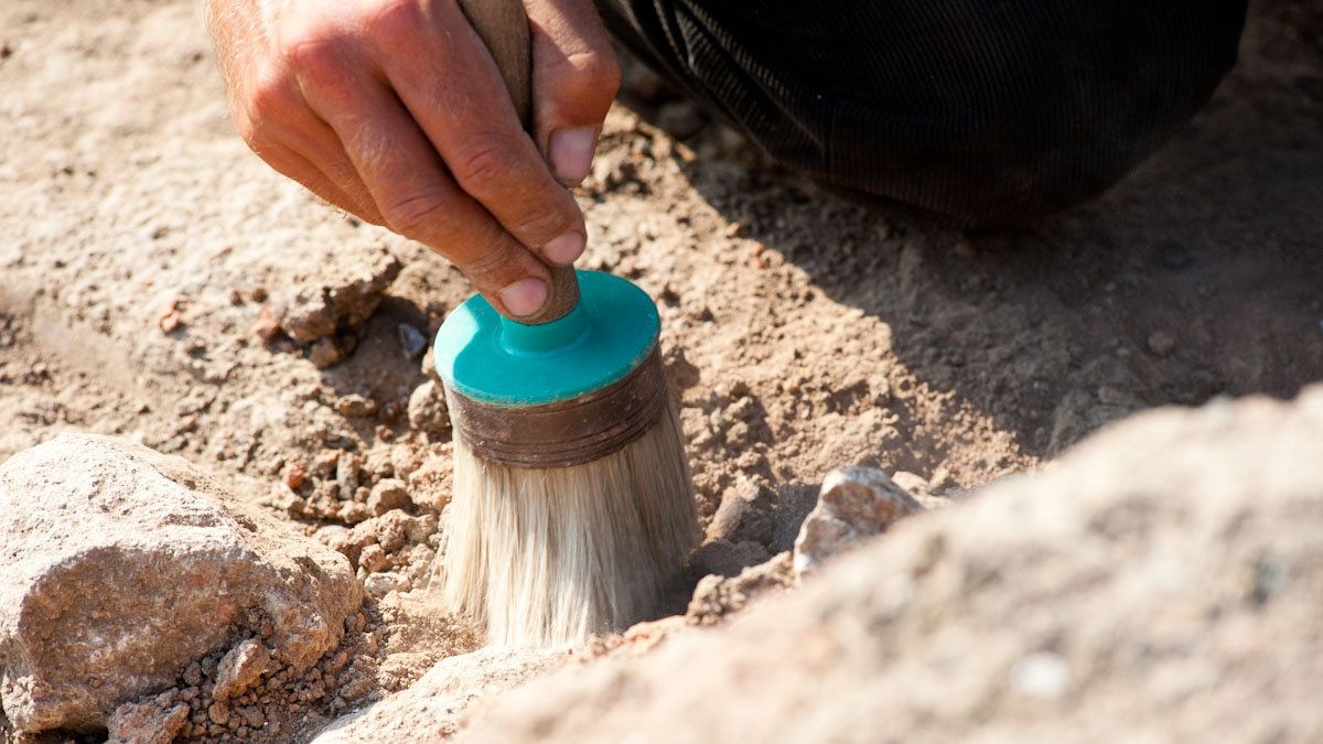 Точний вік знахідок ще невідомий - фото 1