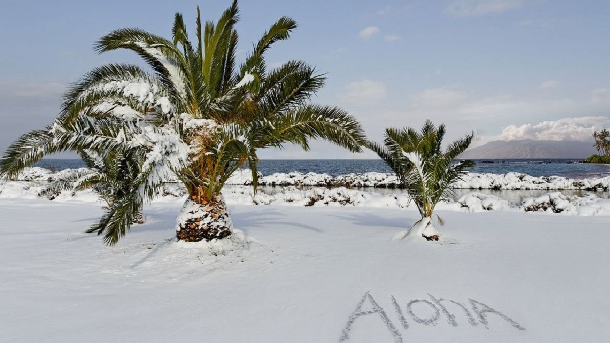 Аномальна погода: Гаваї несподівано засипало снігом