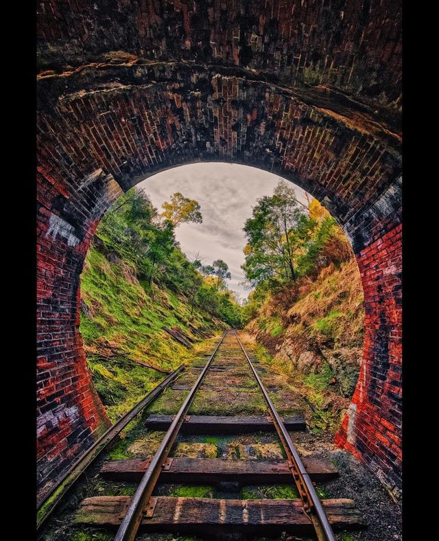 Покинуті місця Мельбурна, які не бачать туристи: яскраві фото - фото 307385