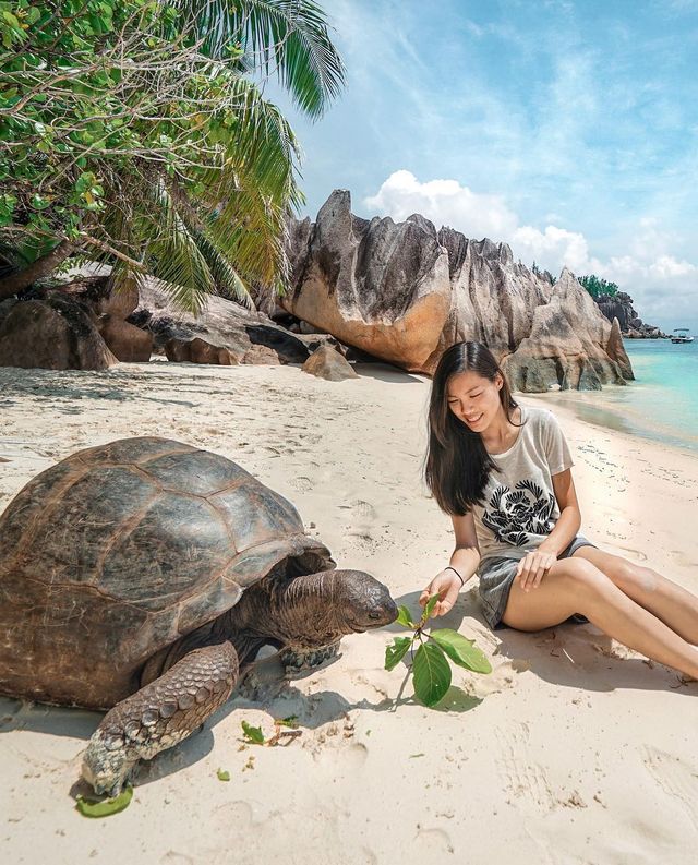 Американка підкорила понад 75 країн: яскраві фото мандрів - фото 307426