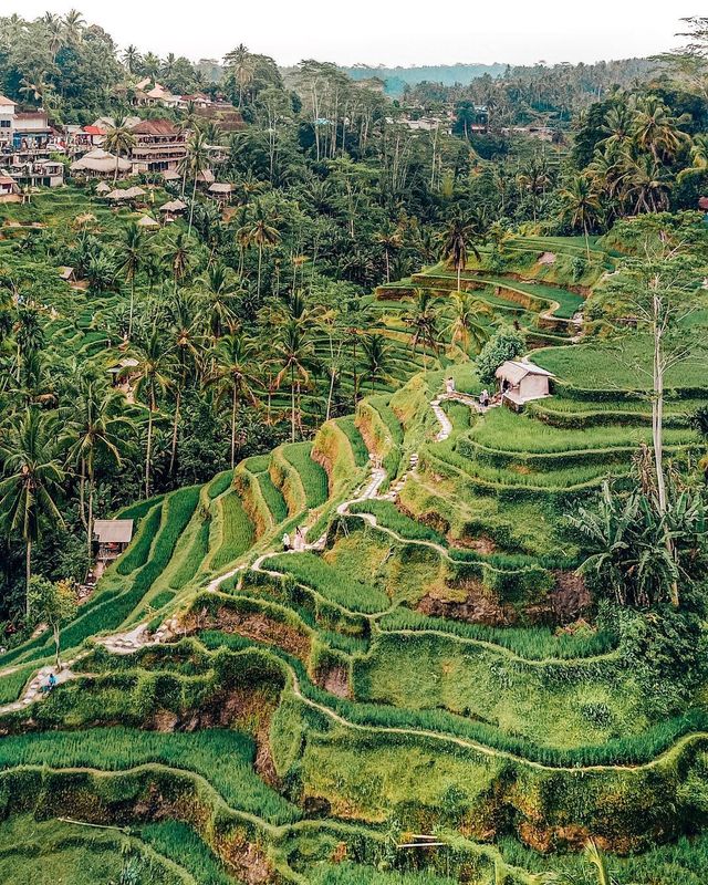 Американка підкорила понад 75 країн: яскраві фото мандрів - фото 307435