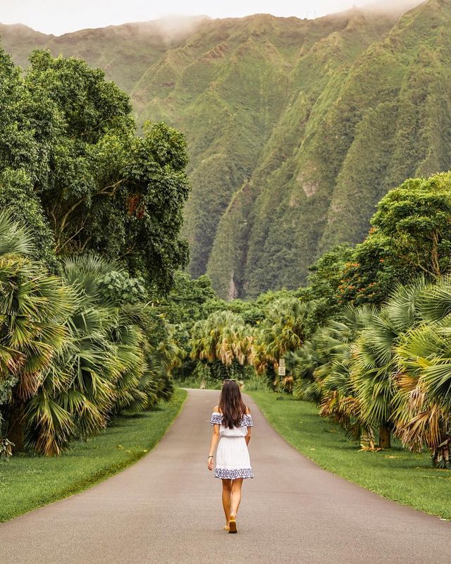 Американка підкорила понад 75 країн: яскраві фото мандрів - фото 307439