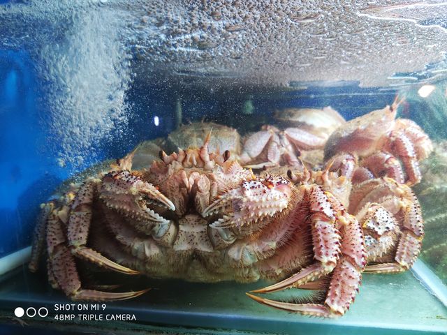 Фото, зроблене на Xiaomi Mi9 - фото 307675