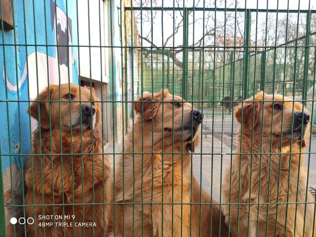 Фото, зроблене на Xiaomi Mi9 - фото 307676