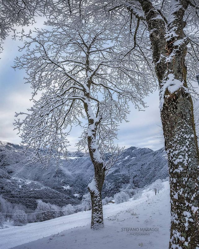 Відпочинок для душі: як виглядають взимку Доломітові Альпи - фото 307913