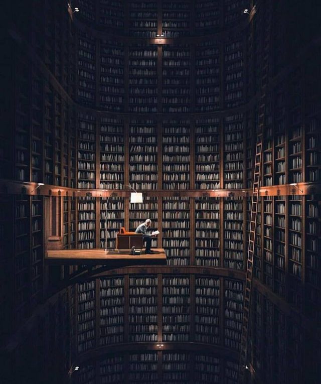 Сербський фотограф перетворює будні у казку: яскраві кадри - фото 308217