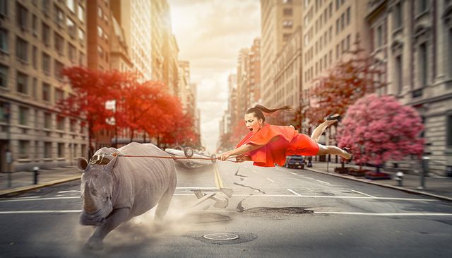 Сербський фотограф перетворює будні у казку: яскраві кадри - фото 308221