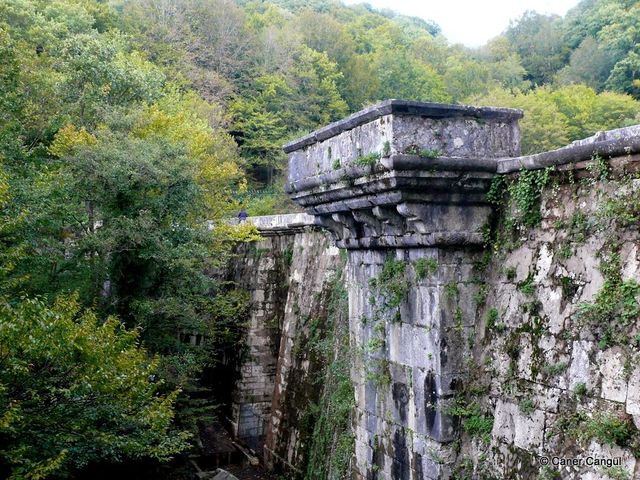Айват - фото 308243