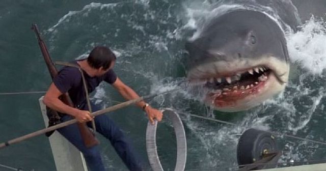 кадр з фільму 'Щелепи' - фото 308596