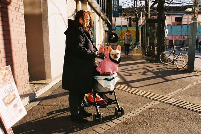 Життя та мода на вулицях Японії: незвичайні фото - фото 308604
