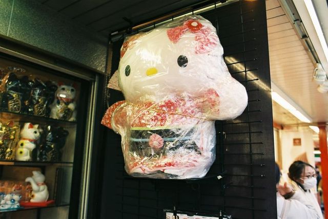 Життя та мода на вулицях Японії: незвичайні фото - фото 308605