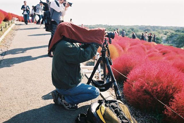Життя та мода на вулицях Японії: незвичайні фото - фото 308613