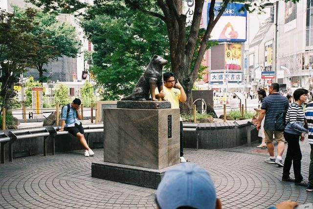 Життя та мода на вулицях Японії: незвичайні фото - фото 308624