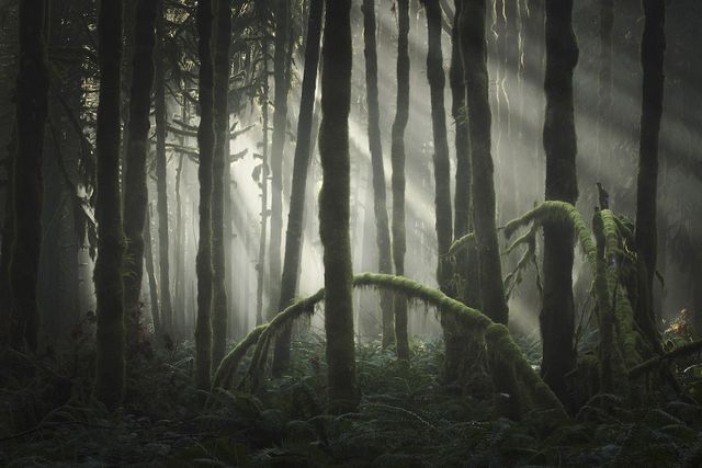 Найкращі пейзажні фотографії 2018 року - фото 308727