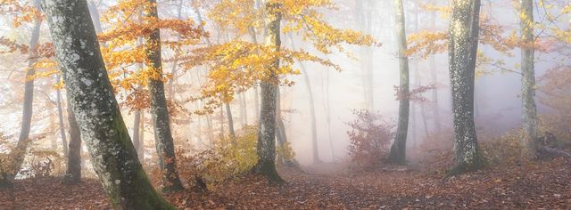 Найкращі пейзажні фотографії 2018 року - фото 308732