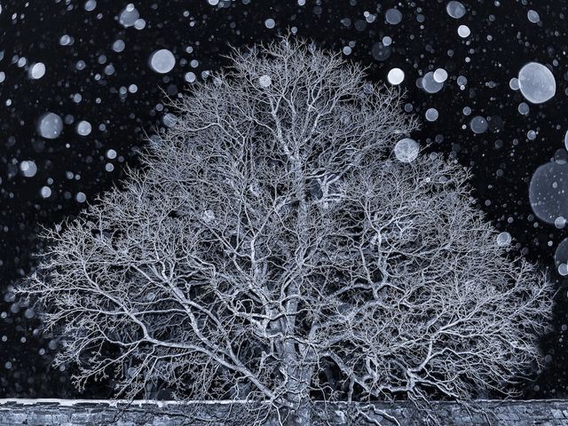 Найкращі пейзажні фотографії 2018 року - фото 308734