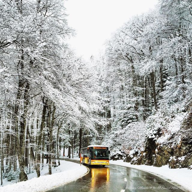 Ефектні фото Швейцарії від Еріки Малоне, які надихають на мандри - фото 308764