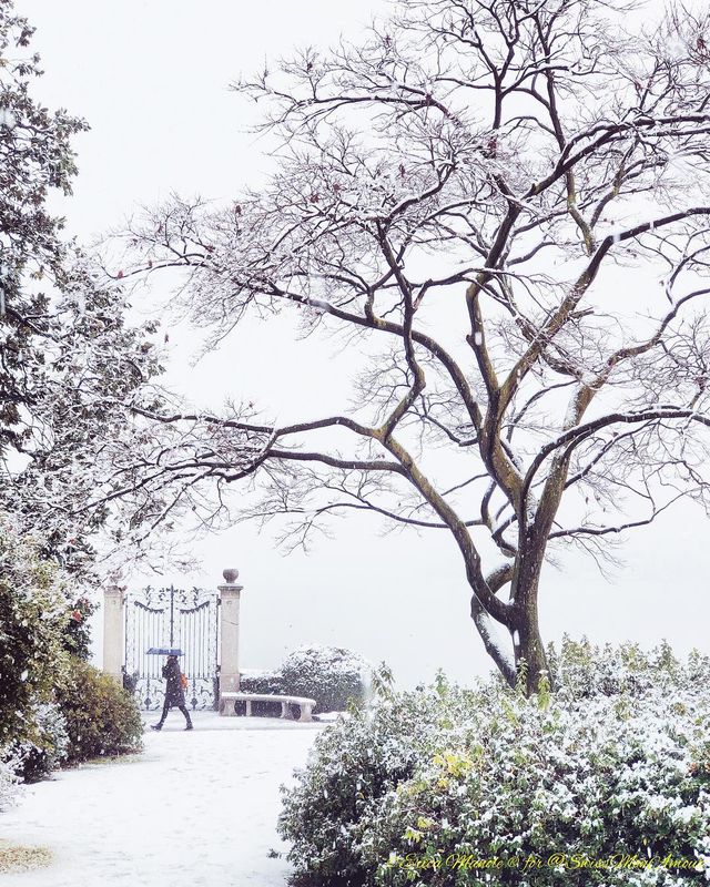 Ефектні фото Швейцарії від Еріки Малоне, які надихають на мандри - фото 308765