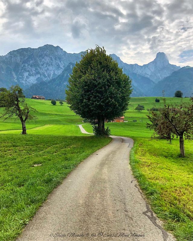 Ефектні фото Швейцарії від Еріки Малоне, які надихають на мандри - фото 308766