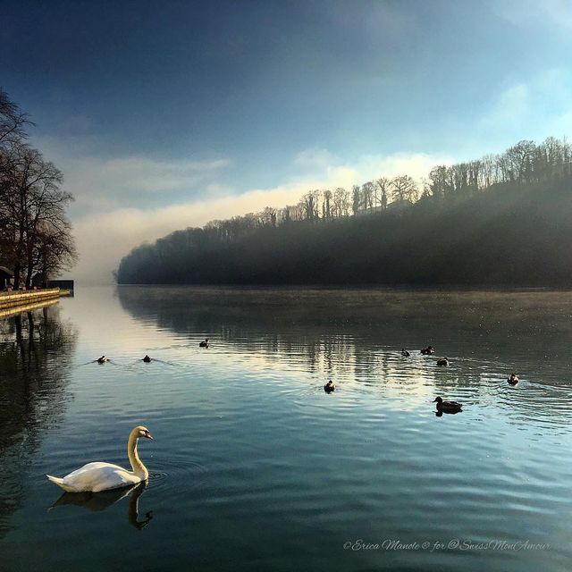 Ефектні фото Швейцарії від Еріки Малоне, які надихають на мандри - фото 308767