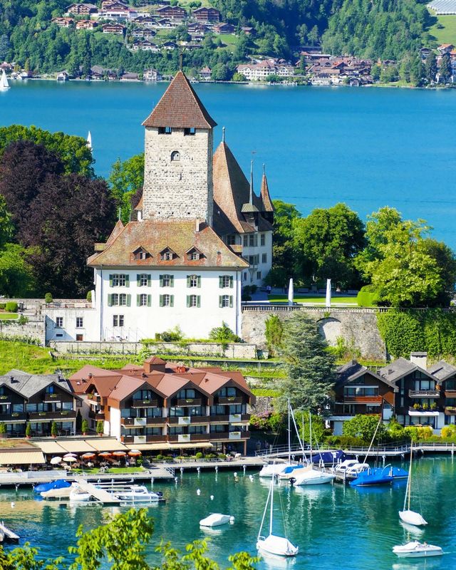 Ефектні фото Швейцарії від Еріки Малоне, які надихають на мандри - фото 308776