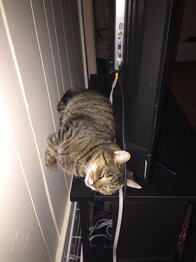 punchahyourbuns - фото 308856