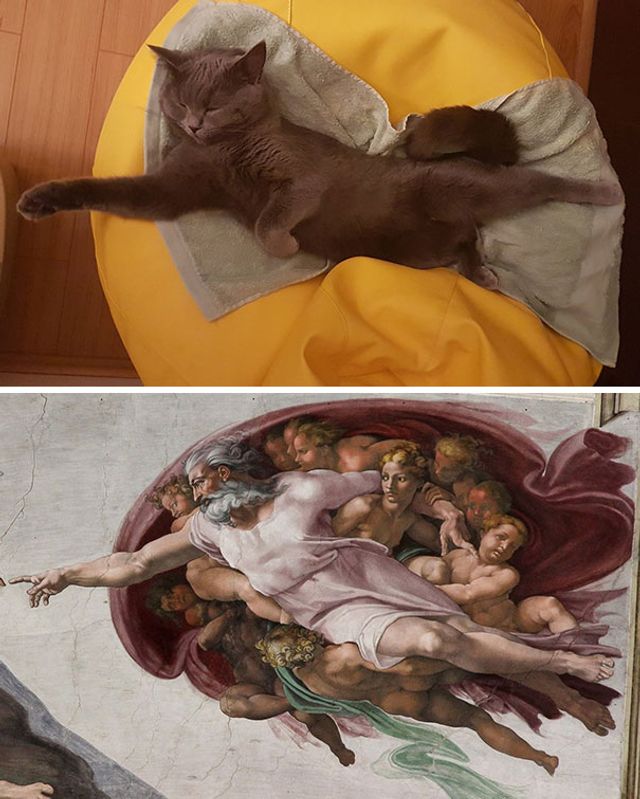 Limbric - фото 308859