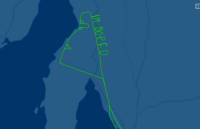 FlightAware - фото 308889