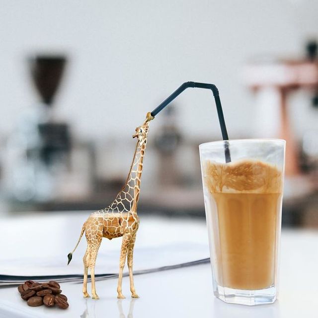 Ілюстатор змінює нашу реальність, змушуючи затримати погляд - фото 309648