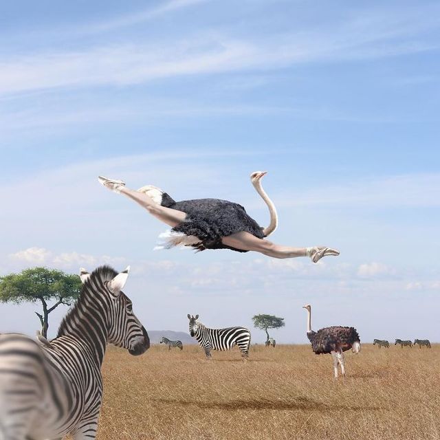 Ілюстатор змінює нашу реальність, змушуючи затримати погляд - фото 309653