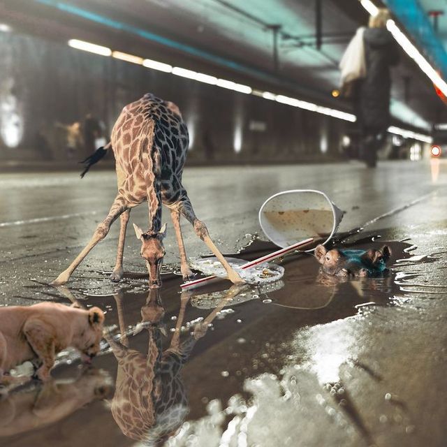 Ілюстатор змінює нашу реальність, змушуючи затримати погляд - фото 309654