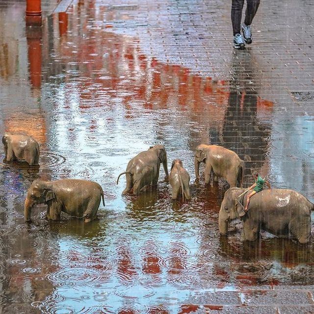 Ілюстатор змінює нашу реальність, змушуючи затримати погляд - фото 309655
