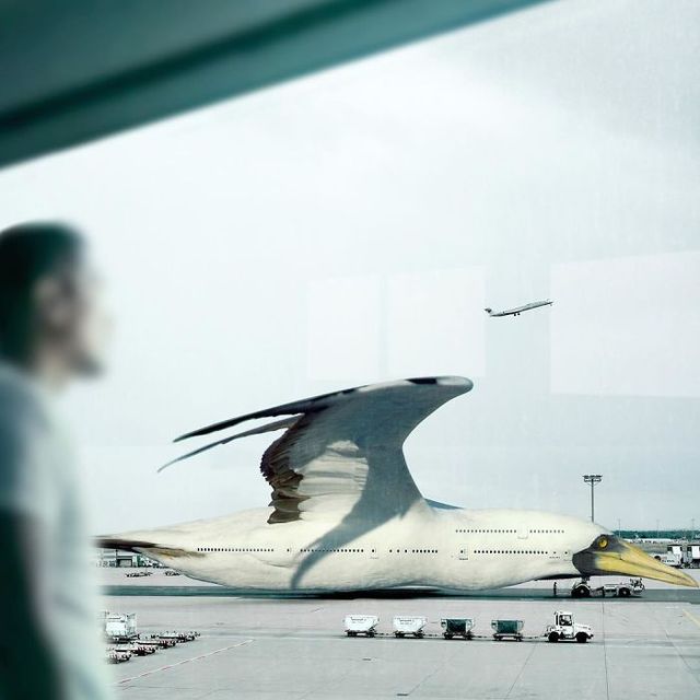 Ілюстатор змінює нашу реальність, змушуючи затримати погляд - фото 309663