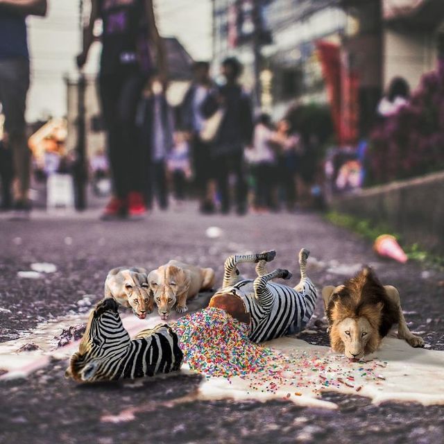 Ілюстатор змінює нашу реальність, змушуючи затримати погляд - фото 309673