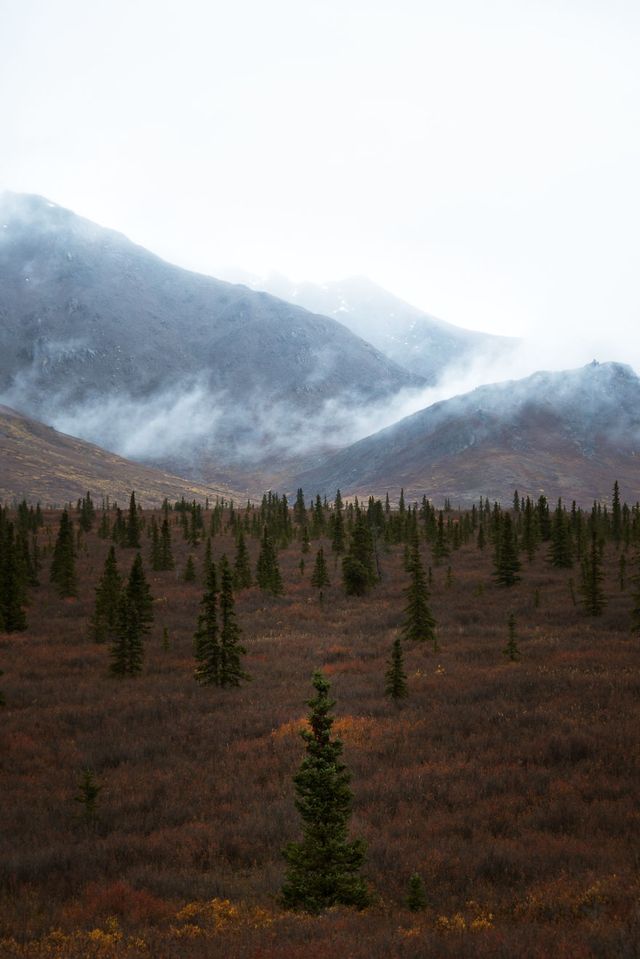 Подорож Аляскою: ефектні фото, від яких перехоплює дух - фото 309767
