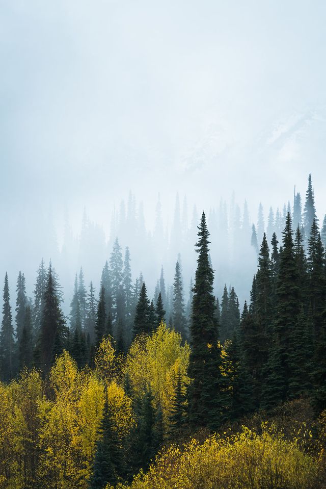 Подорож Аляскою: ефектні фото, від яких перехоплює дух - фото 309778