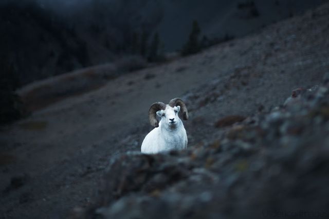 Подорож Аляскою: ефектні фото, від яких перехоплює дух - фото 309780