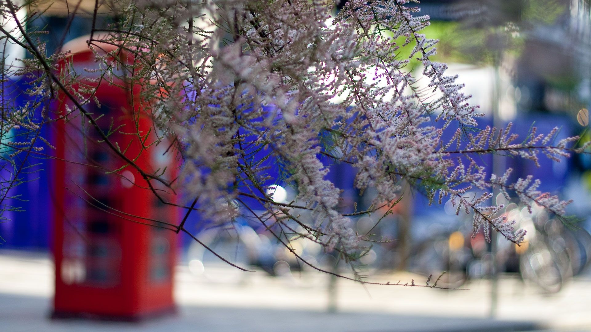 Старий зимовий рекорд дорівнював +19,7 градуса - фото 1