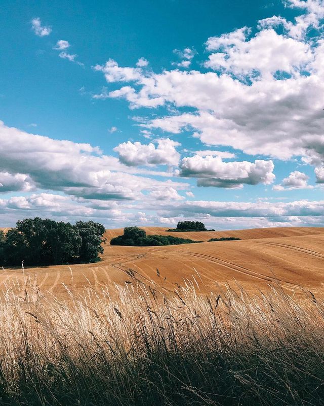 Apple показала найкращі фото, зняті на iPhone - фото 310229